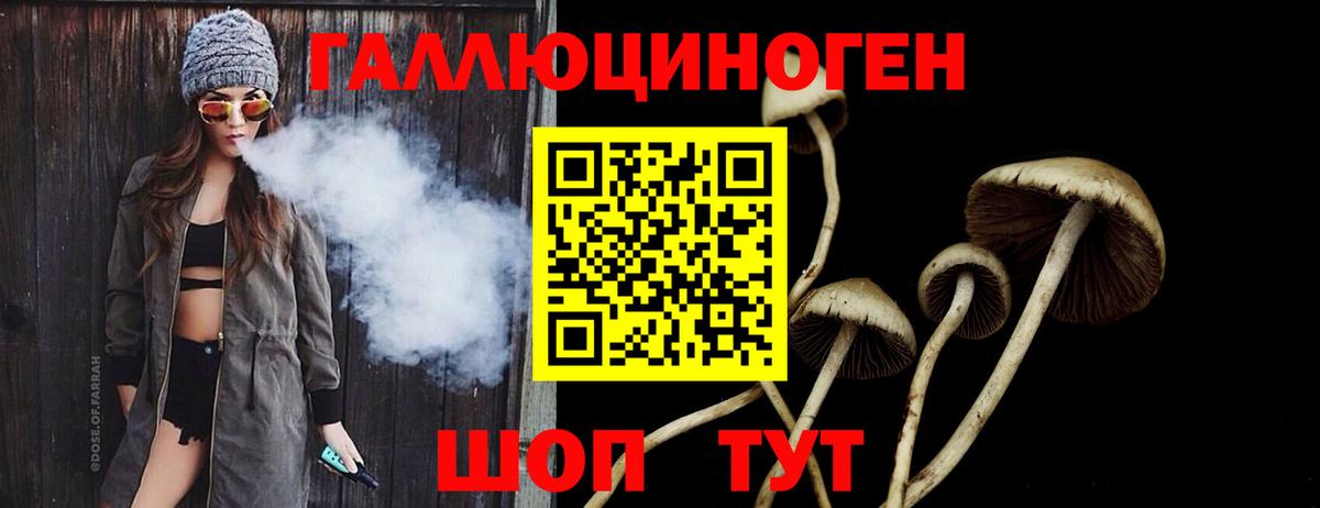 Псилоцибиновые грибы Psilocybine cubensis  Галлюциногенные грибы GOLDEN TEACHER  Вход с VPN  Верхняя Салда 